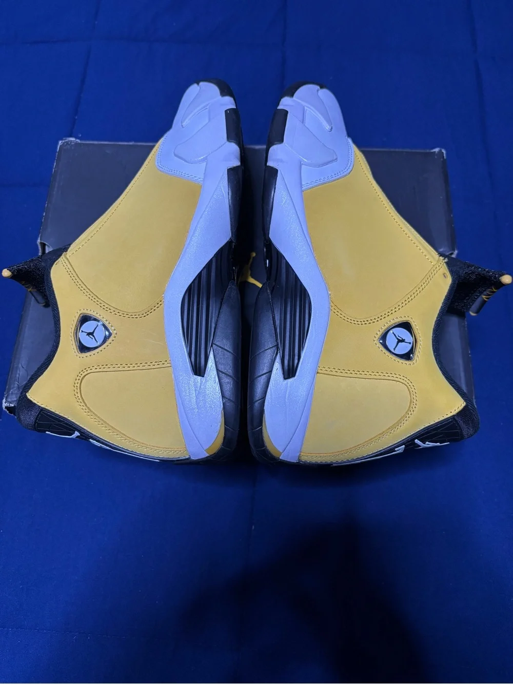 Jordan 14 retro